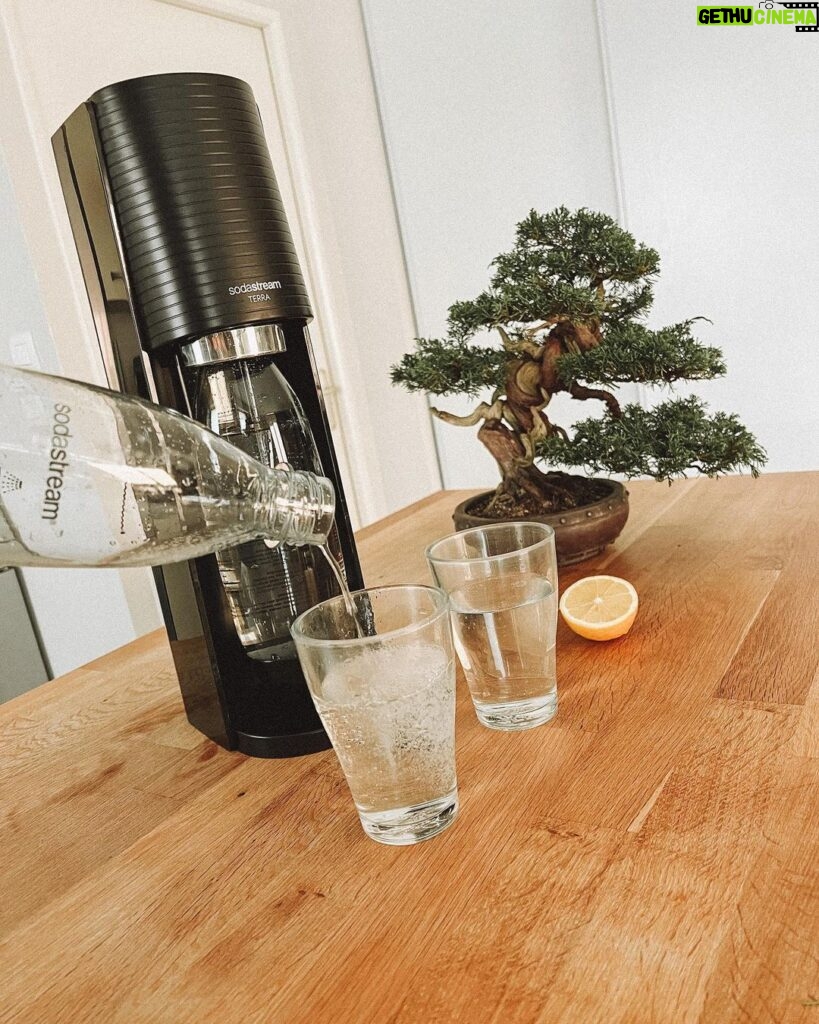 Valentin Roellinger Instagram - Vous savez comment nous aimons l’eau pétillante (surtout Valouzz ) C’est donc pour cette raison que @sodastream_france nous ont envoyé leurs toutes nouvelles machines Terra. 🥤Et à cette occasion, nous vous faisons gagner 2 machines ! (la Terra noire et la Terra rouge) 🖤❤️ Pour participer au jeu concours : ➡️ abonne toi au compte de @pidi_meg / @valouzz + au compte de la marque @sodastream_france ➡️ commente la publication en taguant un pote Le tirage au sort du gagnant sera effectué et annoncé par nos soins le 28/02. 😘 Bonne chance 🖤 Rennes, France