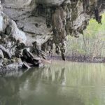 Valentina Shevchenko Instagram - Mangrove forest and cove. Riding a boat in Krabi. Thailand. Krabi, Thailand