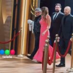 Verónica Lozano Instagram - Gracias @wanda_nara 💖 @dbetular @donatodesantis @germanmartitegui 🚀 @masterchefargentina • Con Copito la pasamos genial • Vestido @vlbyantolin / 👗💄 @maruvenancio 👩🏼‍🦰 @cristinacagnina @cerininet 🌷 🎥 @fermaruri