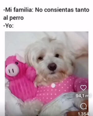 Verónica Lozano Instagram - Para los que piensan que son “solamente “ perros / gatos 
Acá estamos nosotros as con nuestras guaguitas 😍🐶🐈•
Que cosas  haces con tu guaguita que se te viera otro humano no lo creería ? 🙄😊❣️