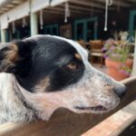 Verónica Lozano Instagram - ❣️🦄🧚‍♂️🌷🤠🐈🐶• Feriado del amor 🇺🇾