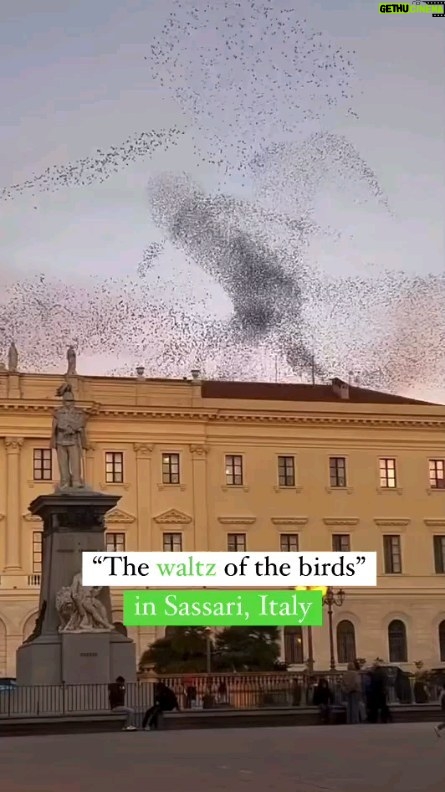 Viola Davis Instagram - This is beautiful!!! ❤❤❤ ・・・ Behold a stunning sky ballet! 😍 🪶A flock of birds gracefully dancing in synchronized harmony, painting the sky with their elegant moves 🎥 Creator @zefiro82 🔁@visititaly