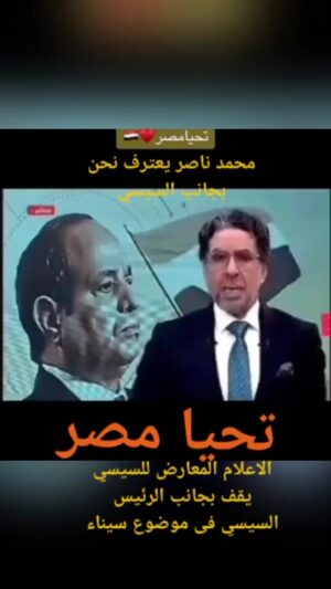Wafaa Amer Instagram - معارضين مصر في الخارج مع قرار حماية الدولة