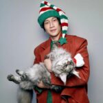 Wichapas Sumettikul Instagram - Merry Christmas 🎄 #christmas #cat