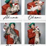 Wichapas Sumettikul Instagram - Merry Christmas 🎄 #christmas #cat