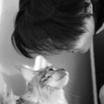 Wichapas Sumettikul Instagram - Does anyone else like to head boop their cats? #cat #mainecoon