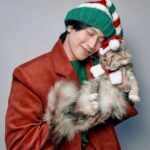 Wichapas Sumettikul Instagram - Merry Christmas 🎄 #christmas #cat