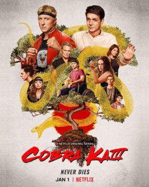 William Zabka Instagram - The Valley ain't big enough for two dojos. Are you #TeamCobraKai or #TeamMiyagiDo? @cobrakaiseries 👊🏻