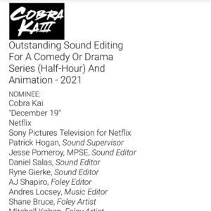 William Zabka Instagram - So proud of our team! What a ride #CobraKai #emmynoms #emmys2021 👊🏻🦅