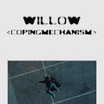 Willow Smith Instagram - for all the LOVE @npr @billboard @recordingacademy @entertainmentweekly @guardian @theavc @rollingstone