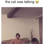 Xzibit Instagram - Turn on the sound. Get ready to watch this shit a few times. You’re welcome. #goodmorning #Laugh
