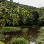 Yanna Lavigne Instagram - A @villacambuca nos recebeu de braços abertos para o 2º Retiro EVA e não poderíamos estar mais felizes com a escolha do lugar. Esse paraíso fica em Ubatuba/SP e comportou perfeitamente todas as vivências: piscina, queda d’água particular, lago, cantinho da fogueira e quartos aconchegantes fizeram toda a diferença para proporcionarmos a melhor experiência para as nossas EVAs. Um dos grandes presentes que recebemos foi a Lele, que nos recepcionou de forma acolhedora, fez uma comida vegana deliciosa e ainda nos encantou com a sua história forte e inspiradora. ✨ @villacambuca Ubatuba, Sao Paulo, Brazil