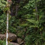 Yanna Lavigne Instagram - A @villacambuca nos recebeu de braços abertos para o 2º Retiro EVA e não poderíamos estar mais felizes com a escolha do lugar. Esse paraíso fica em Ubatuba/SP e comportou perfeitamente todas as vivências: piscina, queda d’água particular, lago, cantinho da fogueira e quartos aconchegantes fizeram toda a diferença para proporcionarmos a melhor experiência para as nossas EVAs. Um dos grandes presentes que recebemos foi a Lele, que nos recepcionou de forma acolhedora, fez uma comida vegana deliciosa e ainda nos encantou com a sua história forte e inspiradora. ✨ @villacambuca Ubatuba, Sao Paulo, Brazil