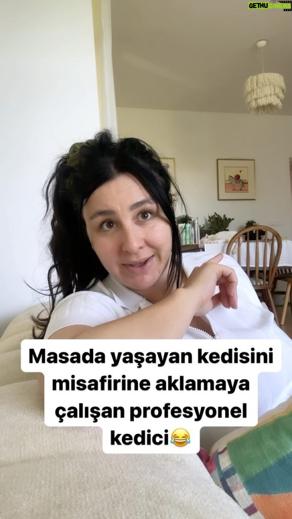 Yasemin Sakallıoğlu Instagram - Sürekli kedisini savunmak zorunda kalan kedici😀 #kedi