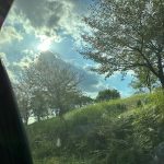 Yeri Instagram - 🌳+🦆+💞=🥴