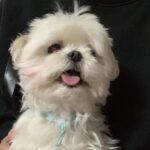 Yoo In-soo Instagram - 아무것도 모르던 때 열정 하나만 가지고 찍었던 제 첫 영화이자 너무 애정 하는 영화가 오늘 4년 만에 개봉을 했습니다! 영화 '제비' 많은 관심과 많은 관람 부탁드립니다.