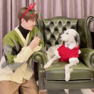Yoo Yeon-seok Instagram - #merrychristmas ❤️🎁🎄