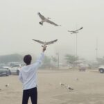 Yook Sung-jae Instagram - #galmagiaga🌊