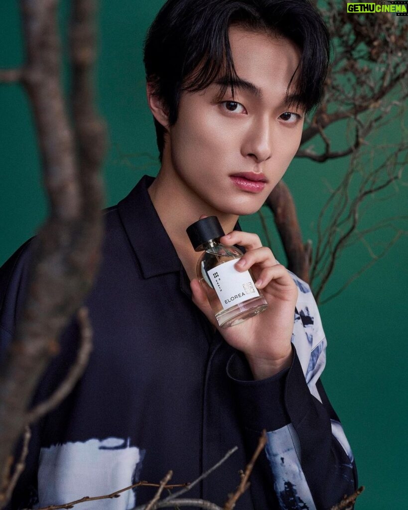 Yoon Chan-young Instagram - 💐🖤 @elorea Elements Collection #ELOREA #fragrance #eauduparfum #perfume #perfumecollection #yoonchanyoung #향수 #향수광고