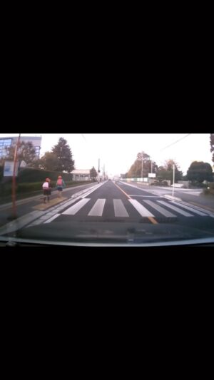 Yudi Tamashiro Instagram - Educação no Japão 🇯🇵

Neste vídeo, podemos testemunhar a educação desde os primeiros anos de vida. Duas crianças atravessam a rua e, ao chegarem do outro lado, inclinam suas cabeças como sinal de respeito. Essa atitude é observada em todos os lugares que visitamos, e a etiqueta japonesa nos impressiona. Isso ocorre porque eles aprendem desde cedo o valor de serem exemplos para o mundo.

Nas escolas japonesas, os estudantes não realizam provas até o quarto ano (com 10 anos de idade). Eles passam por pequenas avaliações durante os primeiros anos. Acredita-se que nos três primeiros anos, o objetivo da escola não é avaliar o conhecimento das crianças, mas sim cultivar boas maneiras e desenvolver seu caráter.

As crianças são ensinadas a respeitar os outros e a demonstrar gentileza com animais e a natureza. Além disso, aprendem sobre generosidade, compaixão, empatia, autocontrole, coragem e justiça.

Os estudantes japoneses raramente faltam às aulas, e impressionantemente, cerca de 91% dos alunos do Japão relataram que nunca ou quase nunca negligenciam o que o professor ensina.

Em que outro país do mundo podemos encontrar estatísticas tão notáveis?