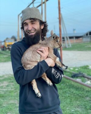 Zabit Magomedsharipov Instagram - Че за Лев это тигр 🐐