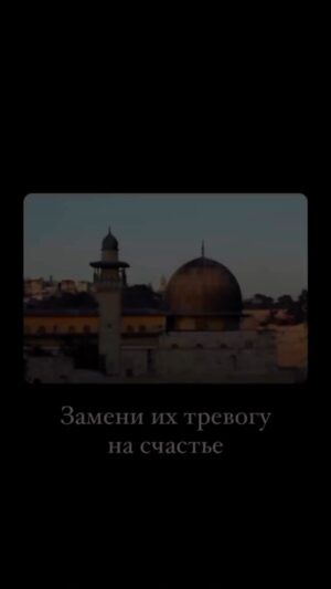 Zabit Magomedsharipov Instagram - Амин!