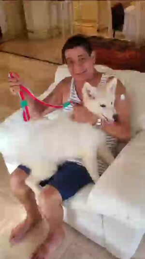 Zeca Pagodinho Instagram - Parece que a Lua, a cachorrinha do Zeca Pagodinho, já escolheu sua escola de samba! Será que vai ter uma ala dos pets na Grande Rio ano que vem? ❤️💚 🐶🐾

Valeu, Jayder! Valeu, @granderio! 

#ZecaPagodinho