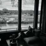 Zoey Deutch Instagram - 🦏🦒🦓🦁🐘 Tengile River Lodge