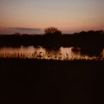 Zoey Deutch Instagram - more thankful than ever for my beautiful family and friends and the opportunity to adventure through life with them photo series pt1 of the most magical birthday trip for my dad @andbeyondtravel @andbeyondtengile Tengile River Lodge