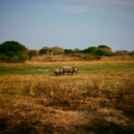 Zoey Deutch Instagram - more thankful than ever for my beautiful family and friends and the opportunity to adventure through life with them photo series pt1 of the most magical birthday trip for my dad @andbeyondtravel @andbeyondtengile Tengile River Lodge