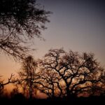 Zoey Deutch Instagram - more thankful than ever for my beautiful family and friends and the opportunity to adventure through life with them photo series pt1 of the most magical birthday trip for my dad @andbeyondtravel @andbeyondtengile Tengile River Lodge