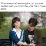 Zooey Deschanel Instagram – Summer memes…