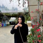 Zulin Aziz Instagram - Strawberry & Scones 😍 Cameron Highlands, Pahang, Malaysia