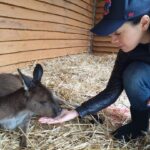 Aimee Garcia Instagram - Wildlife, arcades, street art & breathtaking views ... Melbourne you have my heart 💙🐨🌏 Healesville Sanctuary