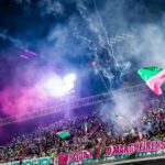 Alcione Instagram - Aqui o samba não morrerá jamais! ✨ A Mangueira trouxe a energia de sua comunidade para abrir o último dia de ensaios técnicos na Sapucaí. 💚💖 Preparamos esses registros incríveis da nação mangueirense: passe pro lado e confira cada clique. 📸 Acompanhe com a gente essa noite de teste de luz e som e aproveite para marcar aquele amigo que é verde e rosa de coração. 📲 Sambódromo da Marquês de Sapucaí