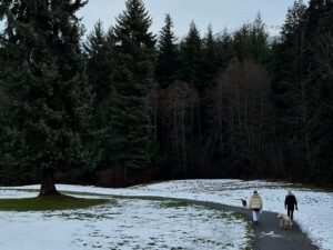 Alexander Ludwig Instagram - Start of the year photo dump. A hike in my backyard to start it off right. 🇨🇦2024 is gonna be a hell of a year!