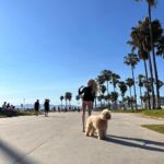 Alexandra Cooper Instagram - a bear at the beach