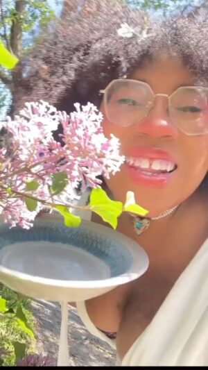 Alexis Nikole Nelson Instagram - LILAC SOLID PERFUME!
I’ve been meaning to do this for YEARS and I’ve finally gotten around to making an enfleurage with our backyard lilacs! I’m probs gonna make some lilac scones today, too!