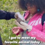 Alexis Nikole Nelson Instagram - When your friend works for the @ohiowildlifecenter DREAMS GET TO COME TRUE!! They do such important work rehabilitating our wonderful, wild animals!! Ever since I found out that the Southern Flying Squirrel is the biggest squirrel population in Ohio, I dreamed of meeting one, and TODAY IT HAPPENED!! Thank you to my friend Lauren for making this happen!!!