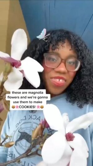 Alexis Nikole Nelson Instagram - MAGNOLIA SNAP COOKIES! ✨ A throwback because every year I miss posting this recipe in time for my friends in the southernmost parts of the US and last year I SET A REMINDER and IT WENT OFF TODAY 🤣

Saucer Magnolia is my fave for this recipe (and usually the easier to find in cities!) BUT Southern and Sweetbay are EXCELLENT in these as well!!