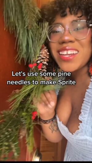 Alexis Nikole Nelson Instagram - THE WHOLE VIDEO THIS TIME 🤣 Conifer needle Sprite! A fun winter ferment, especially if you have boughs left over from wreath making!! Y’all know I love my wild sodas and cordials 🥰✨🌲
Shoutout to @ms_shi_mr_he’s great video on this process!
