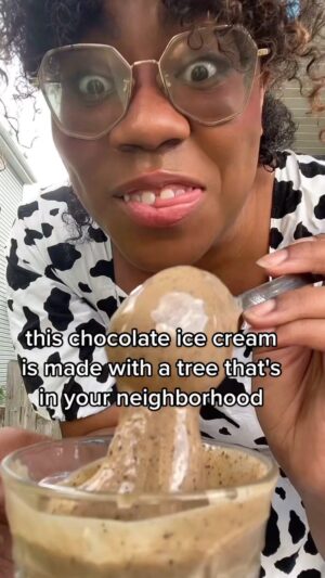 Alexis Nikole Nelson Instagram - I am SO PROUD OF THIS RECIPE, YALL 🍨 it is SO CHOCOLATEY despite having NO CHOCOLATE IN IT!! 

It was around 1.75 cups powdered linden, 2.5 cups sugar, hefty pinch of salt, 4 cups soy milk, 5tbs starch mixed with 1/4cup water for the slurry! Simmered until thiccccc, cooled, and then thrown into the ice cream churn!