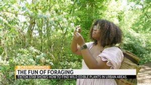 Alexis Nikole Nelson Instagram - Alexis Nikole Nelson (@blackforager) is teaching the internet how to safely forage for food — for free. 

She says seeking out mushrooms, plants and weeds for meals helps her feel “connected” to the environment, adding she wants to see a world where everyone feels “entitled to the outdoors.”