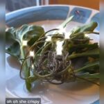 Alexis Nikole Nelson Instagram - I love getting to know a new-to-me macroalgae (fancy shmancy way of saying SEAWEED! 🤩🌊) Meet Mermaid Tresses! Also known as Dead Man’s Rope! Also known as Sea Lace! Also known as Tsurumo! An umami powerhouse! Can’t wait to cook something up with it again!!
