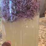 Alexis Nikole Nelson Instagram - ITS FIZZY FLOWER DRINK SEASON!!! 🌸🌸🌸✨