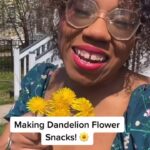 Alexis Nikole Nelson Instagram - DANDELION FRITTERS 🌼✨ and they’re @mnforager (and Elf) approved!! 😆 Columbus, Ohio