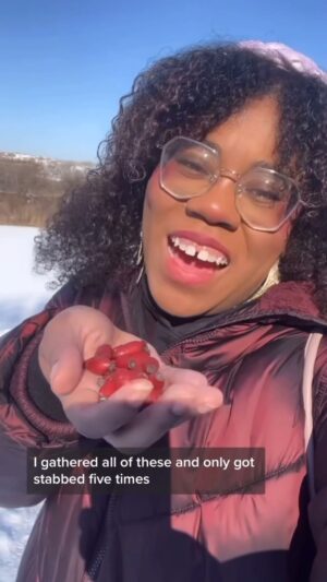 Alexis Nikole Nelson Instagram - Rose hips!! The ones that are left are perfect in my neck of the woods! But when snacking be wary!! The hairy seeds can be… not fun… on their way out 😆💩

This post was sponsored by Hank and John Green! It’s wild to me that two of my favorite creators of things think my content is worth believing in and worth supporting 😭❤️ @hankgreen @johngreenwritesbooks 

#rosehips