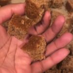 Alexis Nikole Nelson Instagram - Acorn Bread Stuffing. The extended cut. Do I love stuffing? Yes. But also eff a pilgrim.