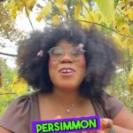 Alexis Nikole Nelson Instagram - Persimmon bread ft neighborhood pranks! 🤣 Columbus, Ohio