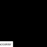 Aleyna Solaker Instagram - Biz bi aile olduk, 3 sene hayatimda cok sey katti iyi ki varsiniz her sey icin cok tesekkur ederim kirgin cicekler ailesi sizi cok seviyorum canisilar 💜💜💜
